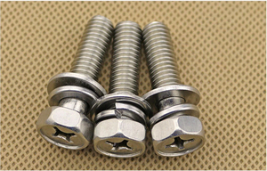 Tornillos Hexagonales de Acero Inoxidable de Alta Calidad M6 M8 M10 304 con Arandela de Resorte - Product Image 6
