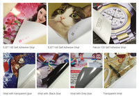 EJET Vinyle auto-adhésif amovible à colle blanche sur autocollant en vinyle pour fenêtre perforée