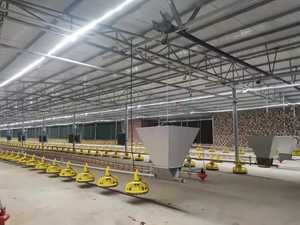 Equipo de Cría en Suelo para Granjas Avícolas PH - Construcción en Acero Inoxidable y PP - Product Image 3