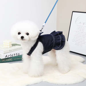 Nuovo Design vestiti di lusso per cani gilet di jeans per cani nuovo arrivo abbigliamento per animali domestici gonne di jeans Set cappello per cane gattino - Product Image 4