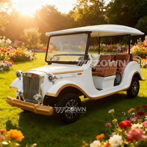 Voiture électrique de tourisme vintage blanche 8 places avec sièges marron et garnitures dorées pour utilisation en parc - Product Image 6
