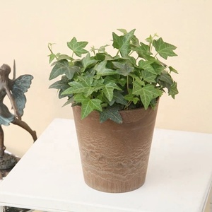 Yuncheng 17cm 6 "7" pulgadas pequeño marrón cónico imitación roca <span class=keywords><strong>piedra</strong></span> interior plástico decorativo maceta jardín planta flor maceta - Product Image 3