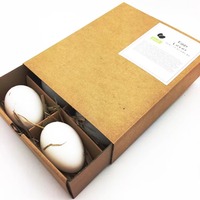 Emballage d'oeufs Yilucai 24 boîte de transporteur d'oeufs d'incubateur d'oeufs