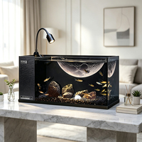 Aquarium Nano de Bureau Intégré avec Filtre Goutte à Goutte Sec/Humide, Éclairage LED 3 Couleurs, Verre Ultra Transparent, OEM ODM, Vente en Gros