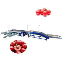 Goede dienst na verkoop MRC-FJ roller sizer cherry tomaat sorteren machine fruit grading machine