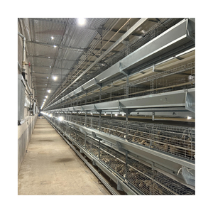 Volaille ferme <span class=keywords><strong>jour</strong></span> vieux bébé <span class=keywords><strong>poussin</strong></span> incubateur Cage <span class=keywords><strong>à</strong></span> poulet <span class=keywords><strong>à</strong></span> <span class=keywords><strong>vendre</strong></span> - Product Image 2