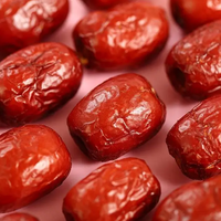 Guoyue Vente en gros Lyophilisation Jujube Dates Tranches entières FD Dates sans pépins Fruits croustillants sains Collations Dates rouges lyophilisées