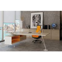 Divers Style Aviator Gestionnaire de Meubles Bureau Exécutif Table Godrej De