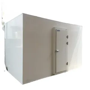 Bitzer Compressor Mobile Container Cold Storage Freezing Room Walk-in Freezer for Fish Vegetables Fruits Ice Cream