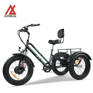 Ezreal модный высокомощный складской электровелосипед 48 в 750 Вт Электрический велосипед 3 колеса Электрический трехколесный грузовой трицикл велосипед с педалями