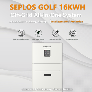 แบตเตอรี่ลิเธียมแรงดันต่ำ Seplos GOLF-R016P006-N 16kWh 51.2V 314Ah 8000 รอบการใช้งาน สำหรับระบบโซลาร์บ้าน พร้อมแบตเตอรี่ LiFePO4 รุ่น GOLF-R016P006-N - Product Image 4