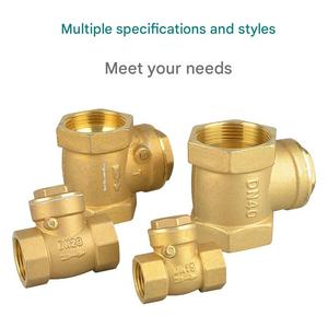 Vanne de retenue horizontale en acier inoxydable de qualité supérieure, anti-fuite, pour les systèmes de traitement de l'eau - Product Image 5