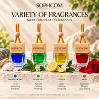 Nouveau Diffuseur de Parfum Suspendu en Verre de Luxe Miniature de Marque, Parfum Pêche Nectar, pour Voiture, Guangzhou