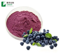 Poudre de fruits mélangés pour boisson, saveurs fraise, myrtille, mangue et citron, fournie directement par l'usine