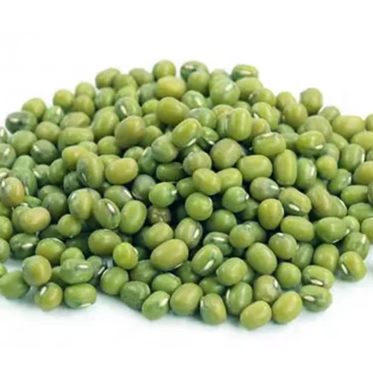Mung beans can germinate with good quality and are suitable for making cakes