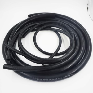 ชุดแปลง CNG <span class=keywords><strong>LPG</strong></span> ชุด <span class=keywords><strong>AEB</strong></span> Mp48 <span class=keywords><strong>LPG</strong></span> Lovato GLP KID สำหรับเครื่องยนต์ V6รถยนต์ autogas - Product Image 5