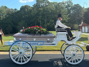 Carro Fúnebre de Estilo Europeo, Vehículo Fúnebre Clásico, Especialmente Diseñado para Transportar Ataúdes - Product Image 3