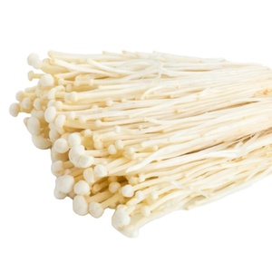 Detan-venta al por mayor de cultivo de setas, salida Fresh <span class=keywords><strong>Enoki</strong></span> - Product Image 1