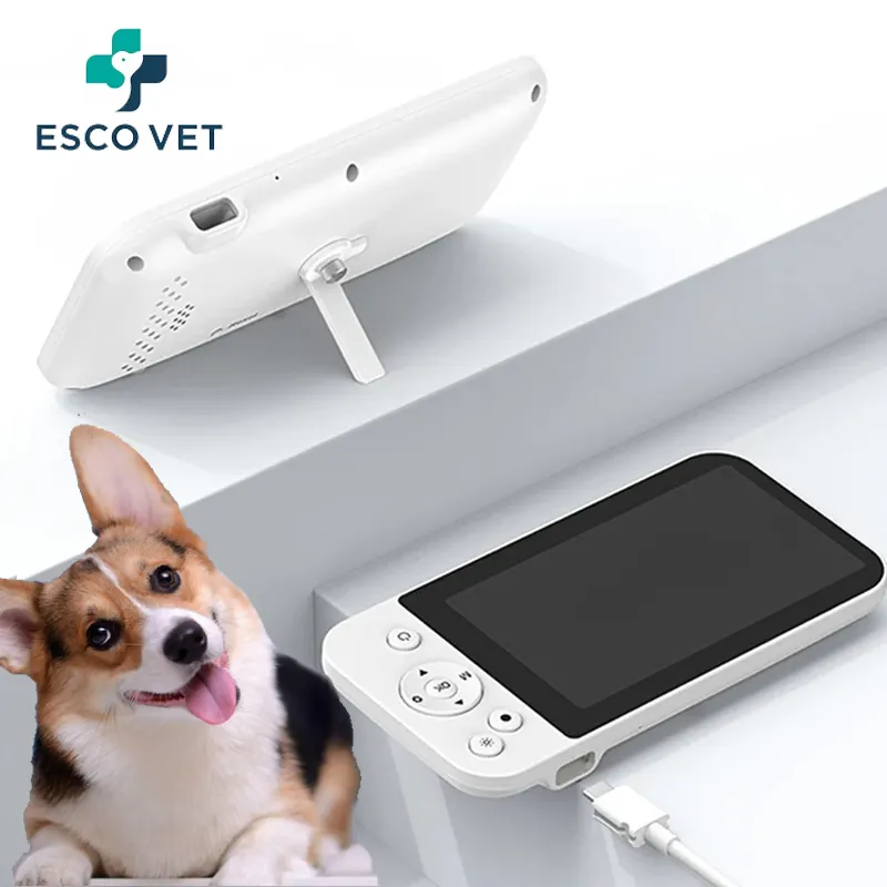 Factory Price Veterinary Products Intelligent Visual Ear Scoop Digital Otoscope Video Ear Endoscope Otoscope Camera