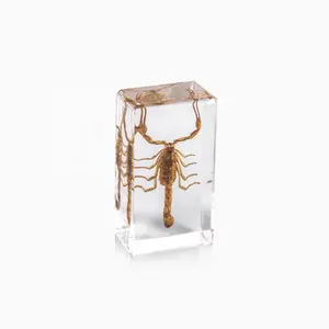 Hot Selling Lucite Hars Presse-papier Cool Scorpion Specimen Ingebed Boek Presse-papier