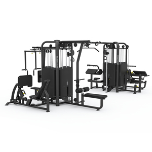 <span class=keywords><strong>Elite</strong></span> Integrato Jungle Gym Machine Professionale con Caricamento a Pesi Selezionabili per Allenamento della Forza, per Uso Commerciale - Product Image 2