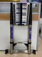 Échelle télescopique en acier inoxydable compacte et légère En131 150 kg, échelle pliante en gros