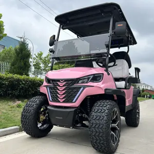 Huaxin Golf Cart New Trend Barbie Pink Golf Carts Electric 4 Seater Buggy On Sale