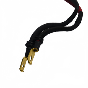 Cable de alimentación del brazo trasero DJI Agras T70 T70P, cable principal del motor ESC de alta corriente, compatible con el brazo trasero pequeño M1 M3, repuesto para dron agrícola. - Product Image 2