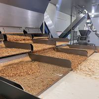 Marché de gros chinois : Condiment naturel biologique, tranches d'oignon croustillantes