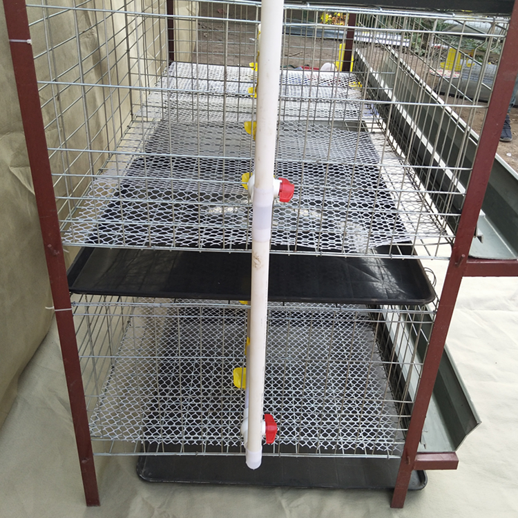 D'anping Shuxin d'élevage de volaille de poulet de chair cages équipement d'élevage à vendre