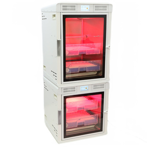 Incubateur numérique pour œufs de poule Mini incubateur pour <span class=keywords><strong>oiseaux</strong></span> ou monticuleurs-constructeurs <span class=keywords><strong>Acheter</strong></span> incubateur pour œufs de poussin Chine - Product Image 5