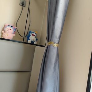 Kim loại phổ biến lá Rèm tiebacks đơn giản hiện đại Rèm Tie chủ dây đeo Tieback Màu sắc Tie trở lại móc trang trí - Product Image 3