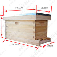 Apiculture, ruche à 5 cadres en pin de Nouvelle-Zélande, boîte à noyaux, élevage de reines, ruche d'accouplement, assemblage facile, ferme apicole, mini ruche à noyaux