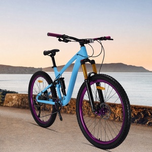 <span class=keywords><strong>Mountain</strong></span> Bike Full Suspension Soft-Tail 29 Pollici in Lega di Alluminio con Sospensioni, MTB 10 Velocità, Freno <span class=keywords><strong>a</strong></span> Disco Meccanico, per Trail, Personalizzabile OEM - Product Image 2