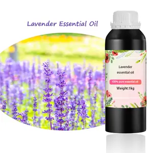 Label pribadi minyak esensial Lavender alami produsen dan pemasok minyak wangi lilin beraroma untuk rambut dalam jumlah besar