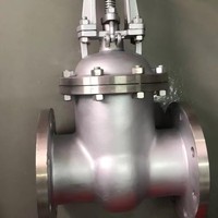 Válvula de Compuerta de Acero al Carbono Premium de Vástago Fijo y Asiento Resiliente, Directa de Fábrica, con Cuña de Acero Inoxidable 316L