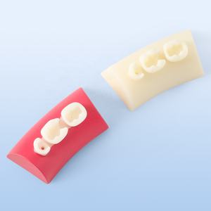 Resina composita che riempie i denti radica del canale di preparazione del simulatore di intarsio dentale blocco di esercizio - Product Image 3