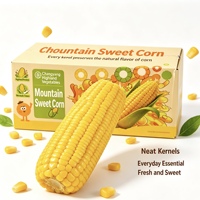 3-OEM Jagung Manis Highland Non-GMO Siap Makan Camilan Buah & Sayuran Lembut Bernutrisi Kemasan Besar