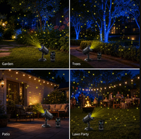 Dynamisches Firefly-Laserlicht Bluetooth-Lautsprecher Klasse II Gelber Laser Blaue LED IP65 100-240V ABS für Außenbereich Garten Rasen Baum