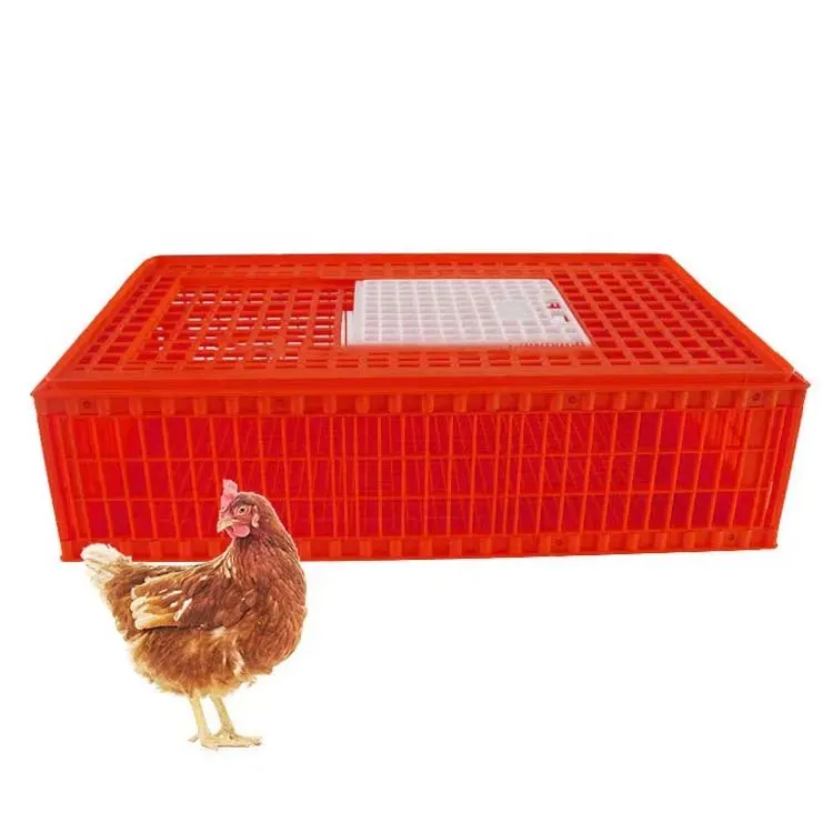 Gaiola plástica grande para transporte doméstico, para criação de aves de coelho, nova condição para fazendas de frango, pato, ganso e pombos