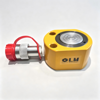 Cylindre hydraulique à profil ultra bas de 10 tonnes avec pompe manuelle, certifié CE, ensemble complet