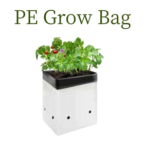 Sacs de culture en plastique noir <span class=keywords><strong>pour</strong></span> serre fruits légumes bleuets pépinière <span class=keywords><strong>jardin</strong></span> planteur <span class=keywords><strong>pour</strong></span> plantes - Product Image 3