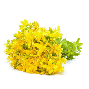 Water Soluble St.John's Wort P.E. hypericins Hypericum Perforatum Extract - Product Image 3