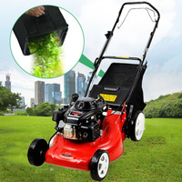 Tondeuse à gazon autoportée de haute qualité de qualité bricolage 460mm avec poignée pliante pratique et boîte à herbe caractéristique de collecte d'herbe