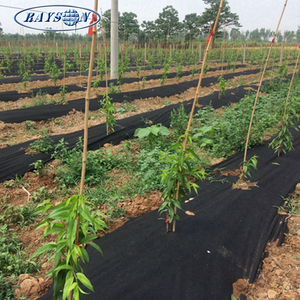 China Supplier Mulching Farm Nonwoven Weed Control Fabric Material Agriculture Black Non Woven <strong>Film</strong> - Product Image 2