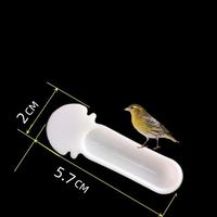 Nouvelle mangeoire à oiseaux suspendue, écologique, solide, imperméable, anti-éclaboussures, en plastique, pour oiseaux sauvages de jardin extérieur