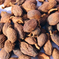 Groothandel Gedroogde Amomum Tsaoko Droge Enkelvoudige Kruiden Specerij Ronde Gedroogde Zwarte Kardemom voor Koken