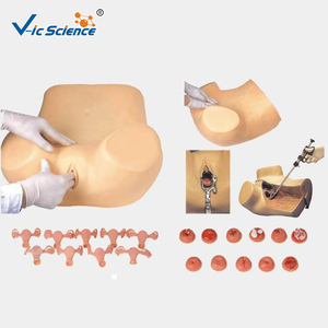 Mô hình giải phẫu y tế mô hình đào tạo phụ khoa mô phỏng giảng dạy mô hình y tế mô hình giáo dục khoa học y tế - Product Image 6