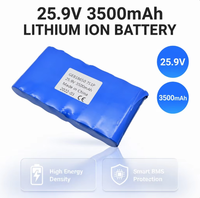 Paket Baterai Lithium Ion 25.9V 3500mAh 7S yang Dapat Diisi Ulang dengan BMS yang Dapat Disesuaikan untuk Perangkat Elektronik Portabel.