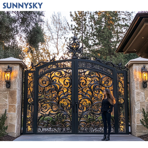 Sunnysky thiết kế phía trước lối vào nhà cổng đúc lối vào chính nhập kim loại rèn sắt cửa - Product Image 3
